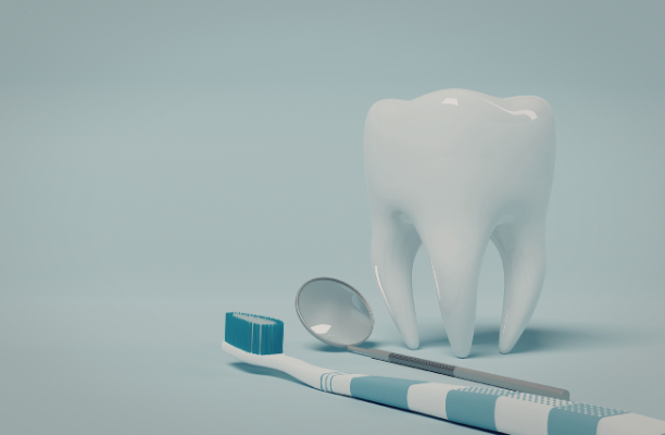 A gloved hand using a dental probe on a realistic model of teeth and gums to demonstrate proper oral hygiene.